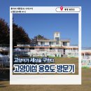(주)협동안전물산 | [신(新)혼여행#15] 고양이 섬 방문기 / 통영 용호도/ 도도한 소풍 참가 후기