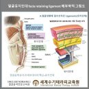 작은 얼굴만들기 이미지