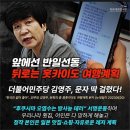 힘 &#39;김영주 부의장, 오염수 괴담 퍼 나르더니 일본 여행 단꿈&#39; 이미지