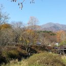 유명사