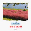 가온1006옆2(해들뜰근린공원) | 포항 가을 산책 가볼만한곳 핑크뮬리 명소 형산강 장미원 추천