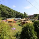 숲속향기캠핑장 이미지