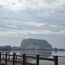 땡큐베리마취통증의학과의원 | [제주6박7일] Day7. 제주동부여행 / 성산일출봉 실물이 멋짐..! 용연구름다리
