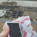 석촌 이미지