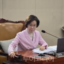 자연체계-산 이미지