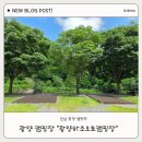 봉강하조오토캠핑장 | 광양하조오토캠핑장 ㅣ 계곡이 있는 전남 캠핑장 계곡 데크 10 후기