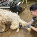 진영5호 이미지