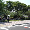 충효큰마을 이미지