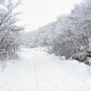 양지-3573 이미지