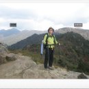 솔봉식당민박 | 지리산 그 황홀한 자락에 서다