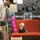 나밍밍 강아지네 이미지