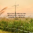 보화1로1 이미지