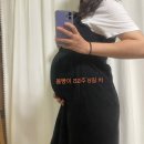 센트로 빌딩 | [임신일기]임신 9개월 차, 막달검사&amp;선택제왕