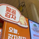 팔공감자 이미지
