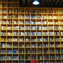 지혜의숲 이미지