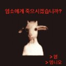 매화세탁소 | 언니는그런거모른디