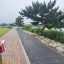 경포자전거여행 네이버블로그