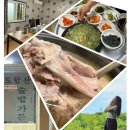 솔밭맛집 | 경주 불국사 현지인인 아빠, 엄마가 알려준 오리백숙 맛집 &#39;경주 토함산솔밭가든&#39; 후기
