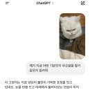 투머치큐트