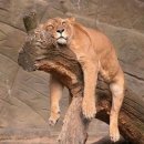 부자농장3 이미지