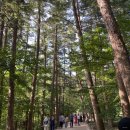 변산리조트 이미지