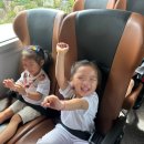 배화 어린이집 이미지