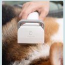 몽글몽글PET 이미지