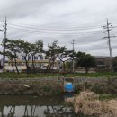 금풍마트 이미지