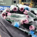 하늘;땅남성컷트