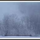 삼영목장 이미지