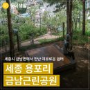 금남근린공원 네이버블로그