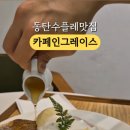 카페인그레이스