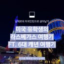 지구촌투어주 | [지구촌특파원 16기 냥제로] 미국 유학생의 라스베가스 여행기 ft. 6대 캐년 여행기