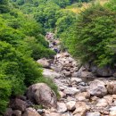 생태민박 이미지