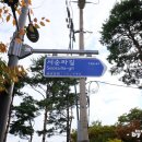 셀립 순라 이미지
