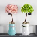 에덴장식 이미지