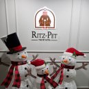 리츠펫 동탄능동점 이미지