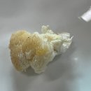 배영숙 산야초밥상 이미지