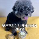 견슐랭 이미지