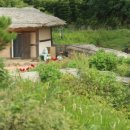 홍북읍 상유정마을회관 | 무주 사류정(四柳亭)