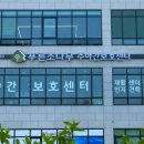 푸른소나무주야간보호센터부천