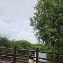 영암공원 | 영암 가볼 만한 곳, 여름 산책 명소 상대포공원 방문 후기