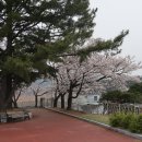 구이저수지 둘레길 이미지