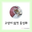 다정한 동물병원 이미지