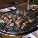 도남돼지 이미지