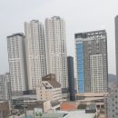 썬비지니스 이미지
