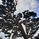 세류2리 이미지