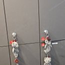 [캠퍼스타운역두피케어] 닥터모락 송도점 방문후기