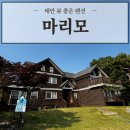 마리모펜션 | 아이랑 가기 딱 좋은 태안뷰좋은펜션 '마리모' 밧개해수욕장 해루질 찐 후기