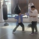 복싱 그 자체 이미지